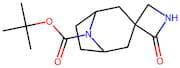 tert-Butyl 2-oxo-8'-azaspiro[azetidine-3,3'-bicyclo[3.2.1]octane]-8'-carboxylate