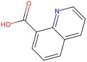 Quinoline-8-carboxylic acid