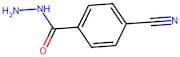 4-Cyanobenzohydrazide