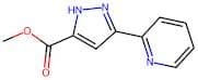Methyl 3-(pyridin-2-yl)-1H-pyrazole-5-carboxylate