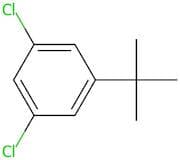1-(Tert-butyl)-3,5-dichlorobenzene