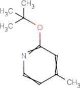 2-tert-Butoxy-p-picoline
