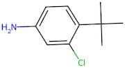 4-(tert-Butyl)-3-chloroaniline