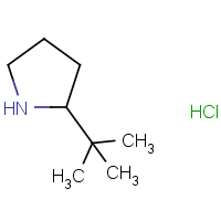 2-tert-Butylpyrrolidine hydrochloride
