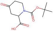 1-(tert-Butoxycarbonyl)-4-oxopiperidine-2-carboxylic acid