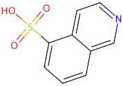 Isoquinoline-5-sulphonic acid