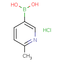 2-Methylpyridine-5-boronic acid, hydrochloride