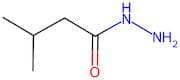 3-Methylbutanehydrazide
