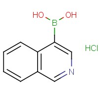 Isoquinolin-4-ylboronic acid, hydrochloride