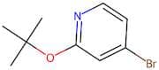 4-Bromo-2-(1,1-dimethylethoxy)pyridine