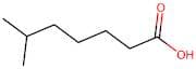 6-Methylheptanoic acid