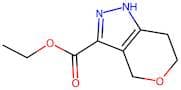 Ethyl 1,4,6,7-tetrahydropyrano[4,3-c]pyrazole-3-carboxylate