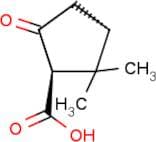(S)-(+)-Ketopinic acid