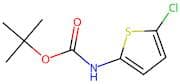 tert-Butyl (5-chlorothiophen-2-yl)carbamate