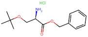 (R)-Benzyl 2-amino-3-(tert-butoxy)propanoate hydrochloride