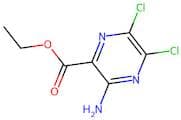 Ethyl 3-amino-5,6-dichloropyrazine-2-carboxylate