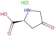 (S)-4-oxopyrrolidine-2-carboxylic acid hydrochloride