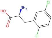 (S)-2-Amino-3-(2,5-dichlorophenyl)propanoic acid