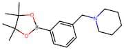 3-(Piperidin-1-ylmethyl)benzeneboronic acid, pinacol ester