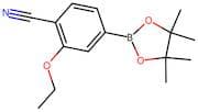 2-Ethoxy-4-(4,4,5,5-tetramethyl-1,3,2-dioxaborolan-2-yl)benzonitrile