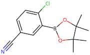 2-Chloro-5-cyanophenyl boronic acid pinacol ester