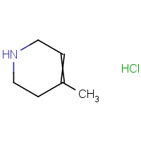 4-Methyl-1,2,3,6-tetrahydropyridine hydrochloride