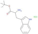 H-Trp-otbu hcl