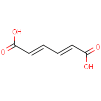 (2E,4E)-Hexa-2,4-dienedioic acid