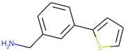 3-(Thien-2-yl)benzylamine