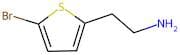 2-(5-Bromo-2-thienyl)ethylamine