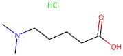 5-(Dimethylamino)-pentanoic acid hydrochloride