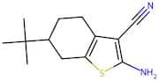 2-Amino-6-tert-butyl-4,5,6,7-tetrahydro-1-benzothiophene-3-carbonitrile