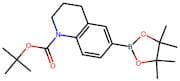 tert-Butyl 6-(4,4,5,5-tetramethyl-1,3,2-dioxaborolan-2-yl)-3,4-dihydroquinoline-1(2H)-carboxylate