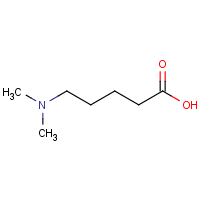5-(Dimethylamino)pentanoic acid