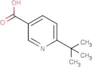 6-tert-Butylnicotinic acid