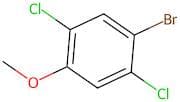 1-Bromo-2,5-dichloro-4-methoxybenzene
