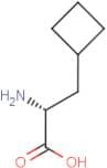 (R)-3-Cyclobutylalanine