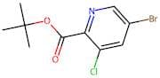 tert-Butyl 5-bromo-3-chloropicolinate