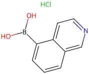 Isoquinoline-5-boronic acid hydrochloride