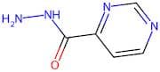 Pyrimidine-4-carbohydrazide