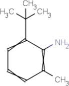 6-tert-Butyl-o-toluidine