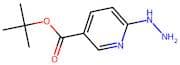 tert-Butyl 6-hydrazinylnicotinate