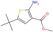 Methyl 2-amino-5-(tert-butyl)thiophene-3-carboxylate
