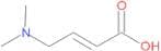 (2E)-4-(Dimethylamino)but-2-enoic acid