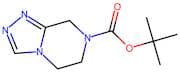 tert-Butyl 5,6-dihydro-[1,2,4]triazolo[4,3-a]pyrazine-7(8H)-carboxylate