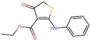 Ethyl 2-anilino-4-oxo-4,5-dihydro-3-thiophenecarboxylate