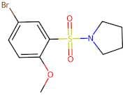 4-Bromo-2-(pyrrolidin-1-ylsulphonyl)anisole