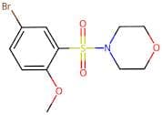 4-Bromo-2-(morpholin-4-ylsulphonyl)anisole