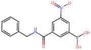 3-(Benzylaminocarbonyl)-5-nitrobenzeneboronic acid
