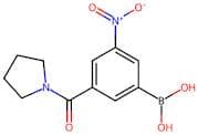 3-Nitro-5-(pyrrolidin-1-ylcarbonyl)benzeneboronic acid